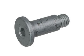 Shifter Pivot Bolt