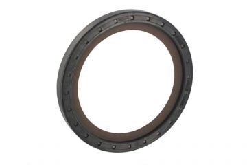 Rear Crankshaft Seal