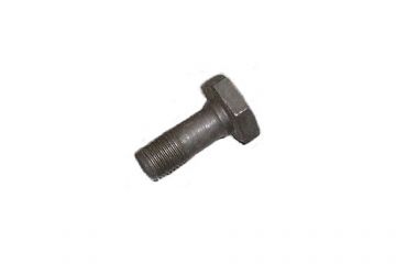 Flywheel Bolt /5
