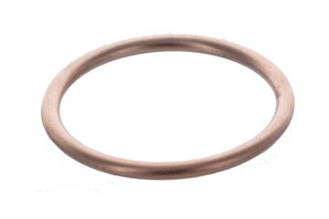 Exhaust Gasket