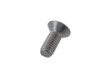 Stainless Carburetor Top Screw, Philips