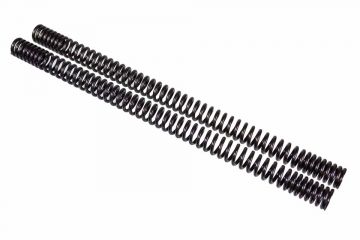 Fork Spring Set Monolever
